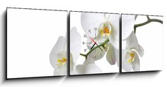 Obraz s hodinami   Orchidee, 150 x 50 cm