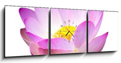 Obraz s hodinami 3D tdln - 150 x 50 cm F_BM15918098 - Lotus