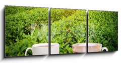 Obraz s hodinami 3D tdln - 150 x 50 cm F_BM160363480 - Coffee or tea in the morning on the wooden table and the Tea plantation background