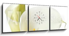 Obraz s hodinami 3D tdln - 150 x 50 cm F_BM16158957 - White Calla Lilies