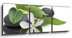 Obraz s hodinami   Stones with green leafs and white flower, 150 x 50 cm