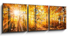 Obraz s hodinami 3D tdln - 150 x 50 cm F_BM168212681 - Wald Panorama im goldenen Herbst