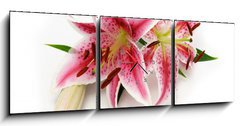 Obraz s hodinami 3D tdln - 150 x 50 cm F_BM16841573 - Lily