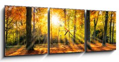 Obraz s hodinami 3D tdln - 150 x 50 cm F_BM169049384 - Buntes Herbstwald Panorama im Sonnenlicht - Panorama Buntes Herbstwald im Sonnenlicht