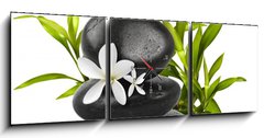 Obraz s hodinami 3D tdln - 150 x 50 cm F_BM16965002 - Spa still life on white background