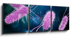 Obraz s hodinami 3D tdln - 150 x 50 cm F_BM176894218 - 3D illustration of Salmonella Bacteria. Medicine concept.