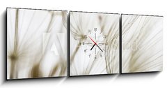 Obraz s hodinami 3D tdln - 150 x 50 cm F_BM180759298 - Dandelion seed closeup