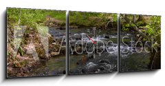 Obraz s hodinami 3D tdln - 150 x 50 cm F_BM182860867 - Whitewater Stream