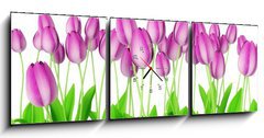 Obraz s hodinami   tulips, 150 x 50 cm