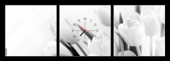 Obraz s hodinami   White tulips on white background bw, 150 x 50 cm