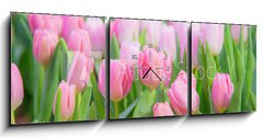 Obraz s hodinami 3D tdln - 150 x 50 cm F_BM197459924 - Tulip Flower in the Garden.,Nature background.
