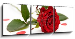 Obraz s hodinami 3D tdln - 150 x 50 cm F_BM2008228 - red rose