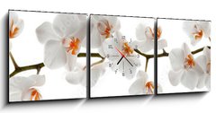 Obraz s hodinami 3D tdln - 150 x 50 cm F_BM201049079 - Orchid branch with flowers
