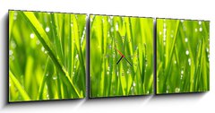 Obraz s hodinami 3D tdln - 150 x 50 cm F_BM20126936 - grass