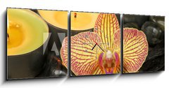 Obraz s hodinami 3D tdln - 150 x 50 cm F_BM20507256 - Orchid and vanilla in spa therapy