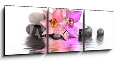 Obraz s hodinami   Orchidee et Beaute, 150 x 50 cm