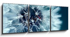 Obraz s hodinami 3D tdln - 150 x 50 cm F_BM218536991 - Macro shot of dandelion with water drops