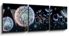 Obraz s hodinami 3D tdln - 150 x 50 cm F_BM220799750 - Pusteblumen und Glhwrmchen