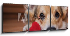 Obraz s hodinami 3D tdln - 150 x 50 cm F_BM222488187 - A dog with a red heart. Valentine`s Day.