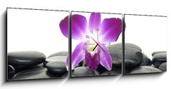 Obraz s hodinami   Purple orchid and black stones, 150 x 50 cm