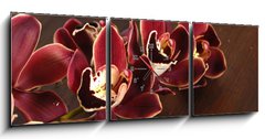 Obraz s hodinami   Lay down tiger s violet orchids on board, 150 x 50 cm