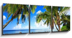 Obraz s hodinami 3D tdln - 150 x 50 cm F_BM231731646 - Palm trees in Kauai Hawaii in the morning