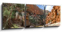 Obraz s hodinami 3D tdln - 150 x 50 cm F_BM23223038 - View of Ormiston Gorge, Macdonnell Ranges, Australia