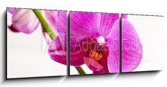 Obraz s hodinami 3D tdln - 150 x 50 cm F_BM23400240 - orchid