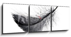Obraz s hodinami 3D tdln - 150 x 50 cm F_BM234006556 - Single black floating feather on white background.