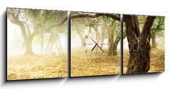 Obraz s hodinami   Old Olive Trees, 150 x 50 cm