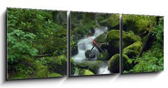 Obraz s hodinami 3D tdln - 150 x 50 cm F_BM23470543 - Mossy waterfall