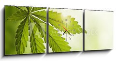 Obraz s hodinami 3D tdln - 150 x 50 cm F_BM23639957 - Cannabis leaf - List konop