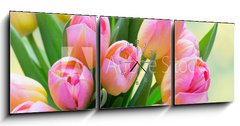 Obraz s hodinami 3D tdln - 150 x 50 cm F_BM241402098 - Spring flowers. Living coral tulip bouquet on the bokeh background. - Jarn kvtiny. iv korlov kytice tulipn na pozad bokeh.