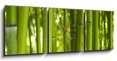 Obraz s hodinami 3D tdln - 150 x 50 cm F_BM24255297 - Bambus Bamboo 06