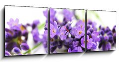 Obraz s hodinami 3D tdln - 150 x 50 cm F_BM24305034 - Aroma, Lavendel