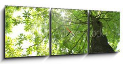 Obraz s hodinami 3D tdln - 150 x 50 cm F_BM24415772 - The natural - Prodn