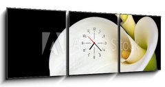 Obraz s hodinami 3D tdln - 150 x 50 cm F_BM24523034 - Calla Lilies