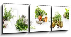 Obraz s hodinami 3D tdln - 150 x 50 cm F_BM247543142 - Marjoram, oregano, rosemary garden herbs set - Majornka, oregano, rozmarnov zahradn byliny