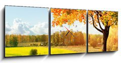 Obraz s hodinami   Autumn at the morning park, 150 x 50 cm