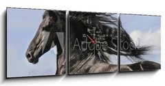 Obraz s hodinami 3D tdln - 150 x 50 cm F_BM25113841 - Portrait of moving friesian black horse - Portrt pohybujc se frzskho ernho kon