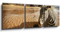 Obraz s hodinami 3D tdln - 150 x 50 cm F_BM25254470 - Beach Zebra