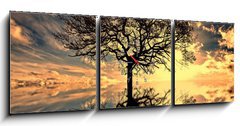 Obraz s hodinami   mystic moments, 150 x 50 cm