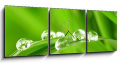 Obraz s hodinami 3D tdln - 150 x 50 cm F_BM25545788 - water drops on the green grass