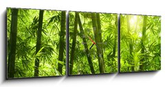 Obraz s hodinami 3D tdln - 150 x 50 cm F_BM25655777 - Bamboo forest.