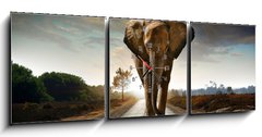 Obraz s hodinami   Walking Elephant, 150 x 50 cm