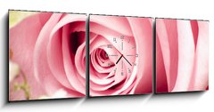 Obraz s hodinami   Rosa, 150 x 50 cm
