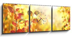 Obraz s hodinami 3D tdln - 150 x 50 cm F_BM264386223 - Beautiful colorful autumn natural background panorama. Orange autumn foliage on blurred gold background glows in sunlight outdoors in nature. Template with copy space.