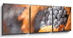 Obraz s hodinami 3D tdln - 150 x 50 cm F_BM26469796 - Lush, Ripe Wine Grapes with Mist Drops on the Vine