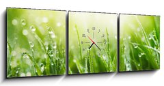 Obraz s hodinami 3D tdln - 150 x 50 cm F_BM265607915 - Juicy lush green grass on meadow with drops of water dew in morning light in spring summer outdoors close