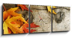 Obraz s hodinami 3D tdln - 150 x 50 cm F_BM26583135 - Autumn Leaves over wood background.With copy space